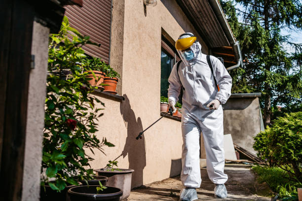 Best Pest Control Near Me  in Lanham, MD
