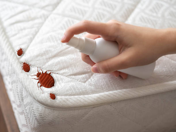 Best Exterminator Services  in Lanham, MD